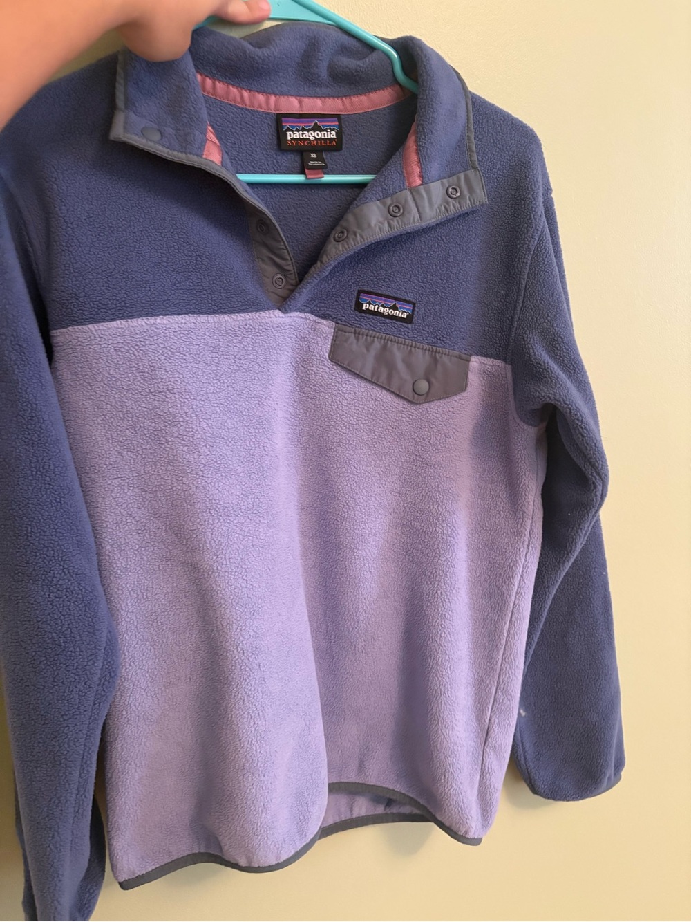 Patagonia Women’s Synchilla in Blue-Purple